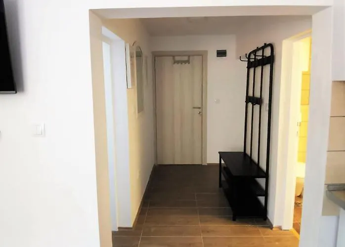 公寓 Kod Dede Brzeće